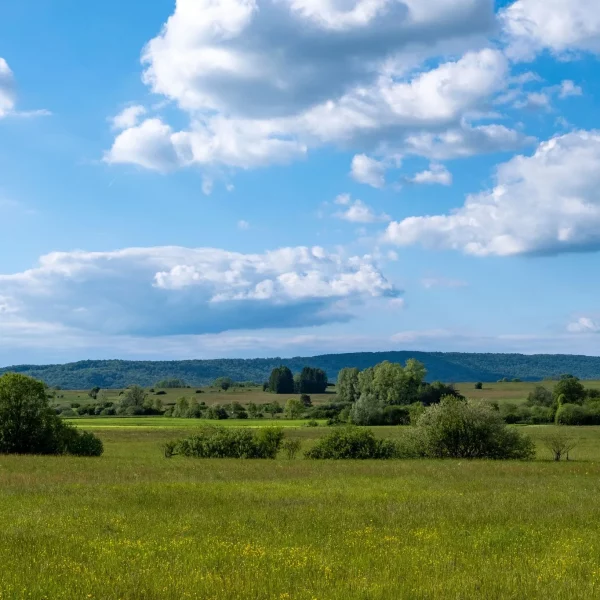 adobestock-425697645__x2048